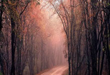 [中超]中超补赛 上海海港击败梅州客家.