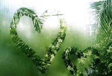 郑钦文：想带拉杜卡努去武汉过早 因为她算半个中国人还蛮有意思的.