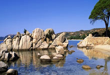 V体育官方网站：林高远3-1逆转格罗特，晋级WTT仁川冠军赛男单16强.